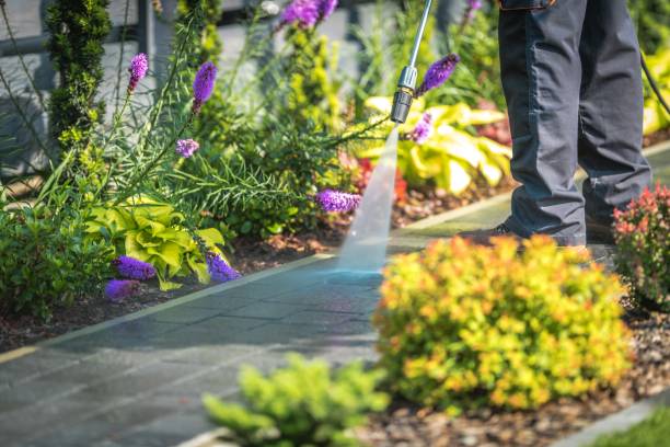  Phillipsburg, NJ Pressure Washing Pros